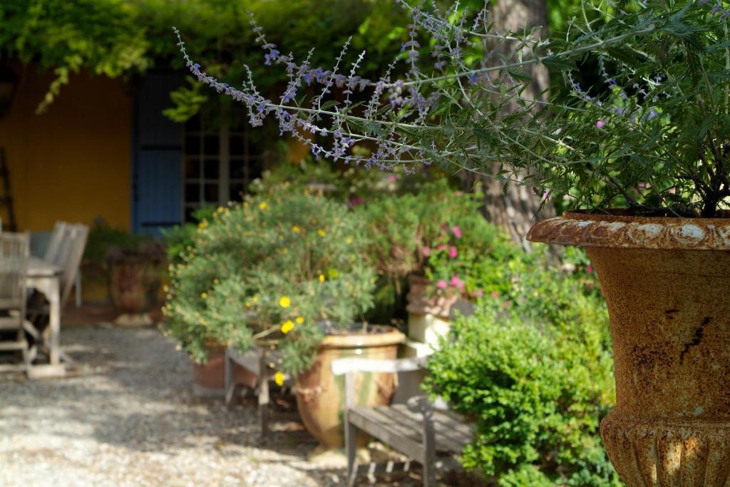 Hotel Mas De La Chapelle 4*
